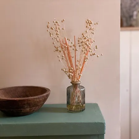 Clementines House